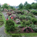 Sangerhausen_108_130629