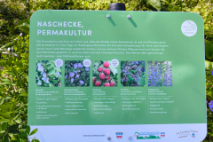 IMG_20240616_163823