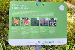IMG_20240616_164133