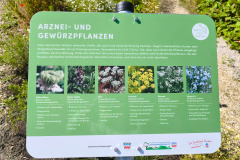 IMG_20240616_164310